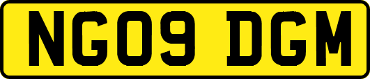 NG09DGM