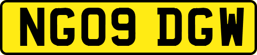 NG09DGW