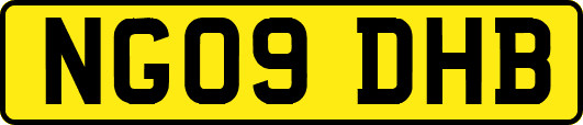 NG09DHB