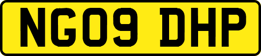 NG09DHP