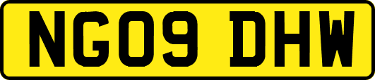 NG09DHW
