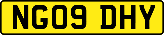 NG09DHY