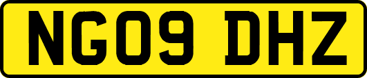 NG09DHZ