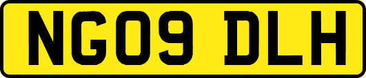 NG09DLH