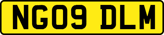 NG09DLM