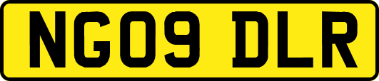 NG09DLR