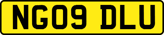 NG09DLU