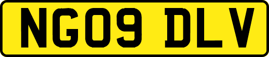 NG09DLV