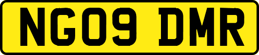 NG09DMR