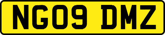 NG09DMZ