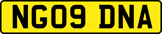 NG09DNA