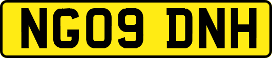 NG09DNH