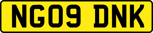 NG09DNK