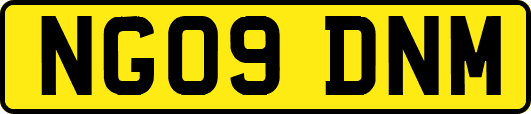 NG09DNM
