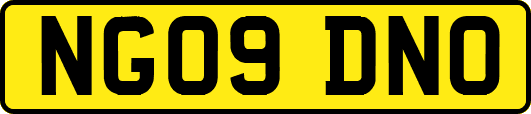 NG09DNO