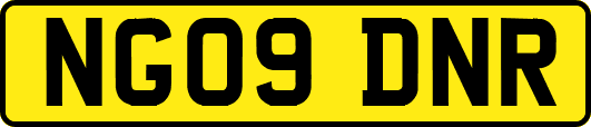 NG09DNR