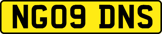 NG09DNS