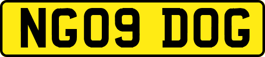 NG09DOG