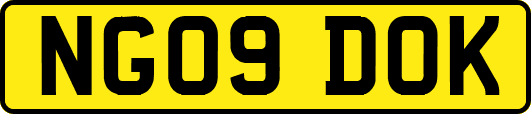 NG09DOK