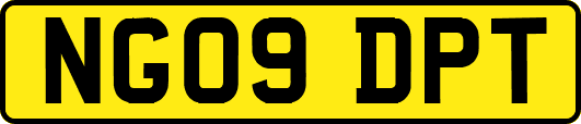 NG09DPT