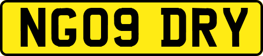 NG09DRY