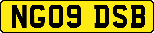 NG09DSB