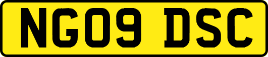 NG09DSC