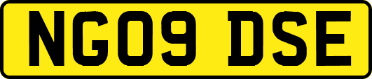 NG09DSE