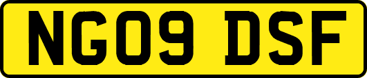 NG09DSF