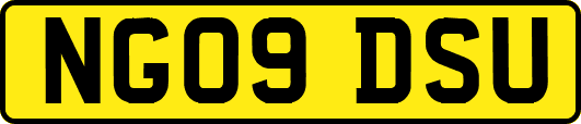 NG09DSU