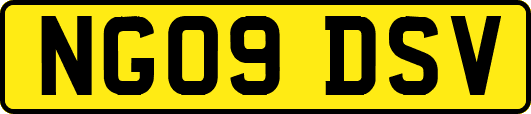 NG09DSV