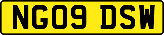 NG09DSW