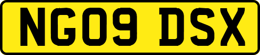 NG09DSX