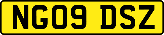 NG09DSZ