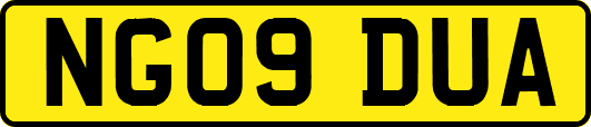 NG09DUA