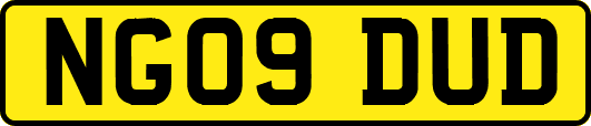 NG09DUD