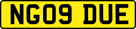 NG09DUE
