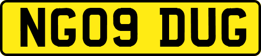 NG09DUG