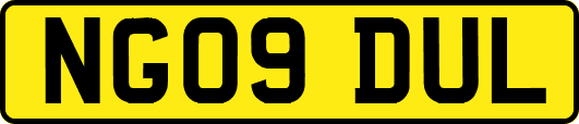 NG09DUL