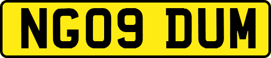 NG09DUM