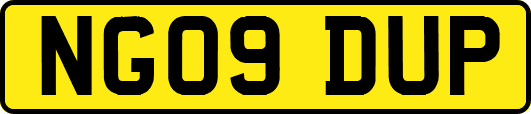 NG09DUP