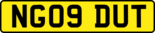NG09DUT