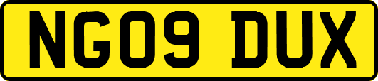 NG09DUX