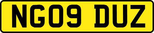 NG09DUZ