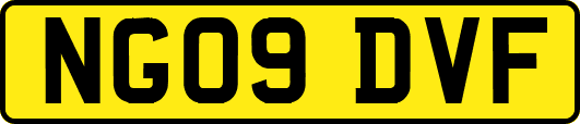 NG09DVF