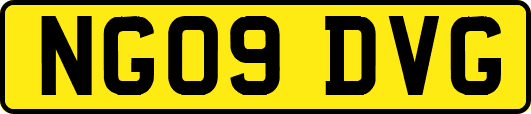 NG09DVG