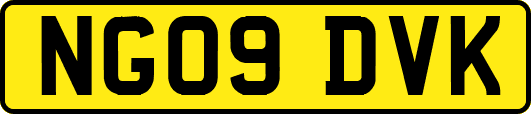 NG09DVK