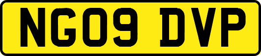 NG09DVP