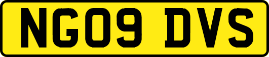 NG09DVS