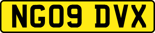 NG09DVX